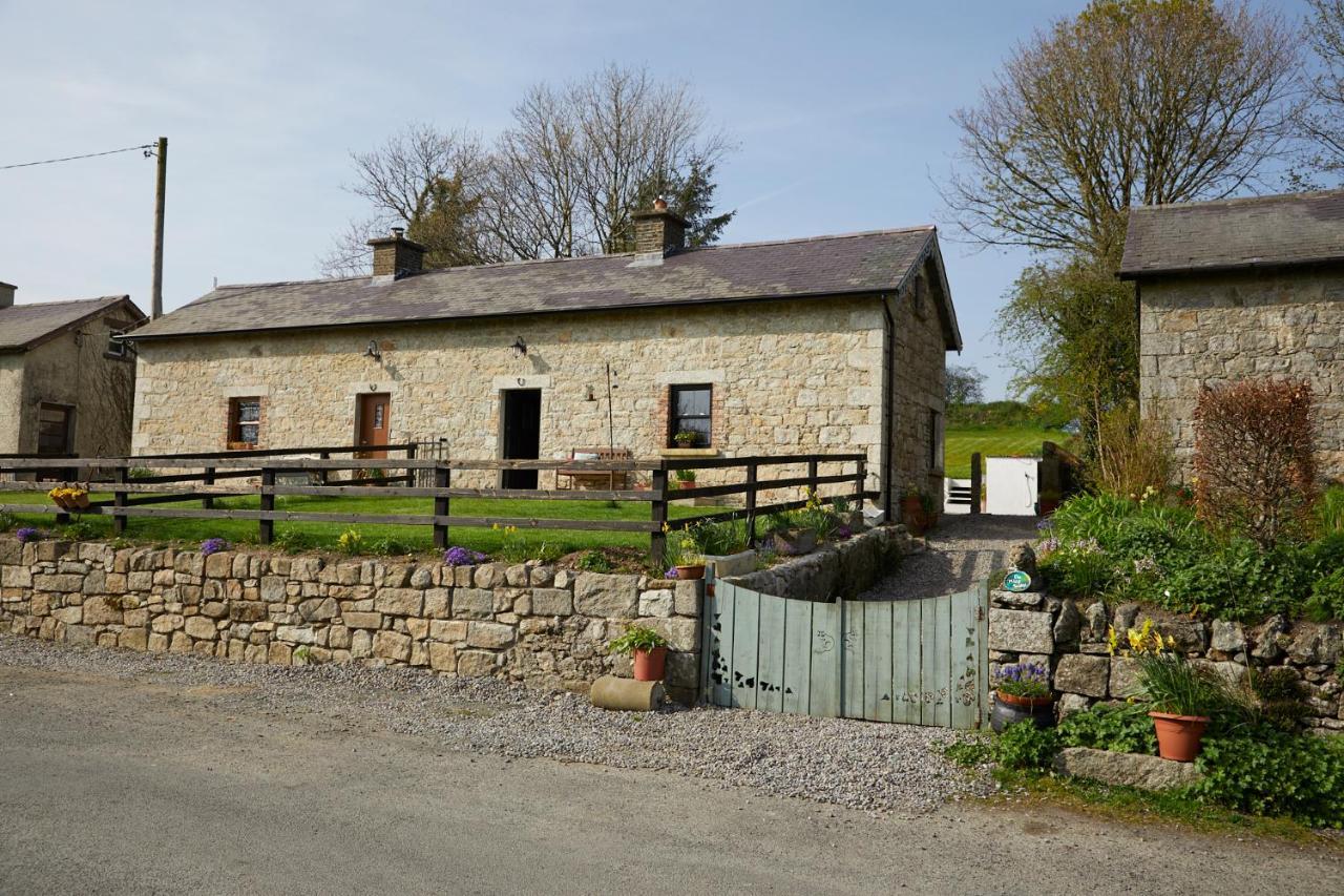 Kilquiggan Cottages Coolkenno Esterno foto